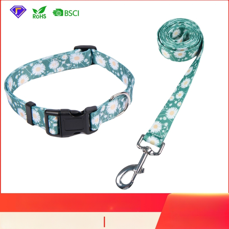 Poliészter kutya nyakörv és póráz készlet — nyakörv + póráz, 100 darabos dobozban