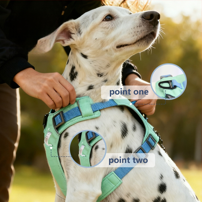 Nylon kutya póráz, mellény-stílusú, South Belle