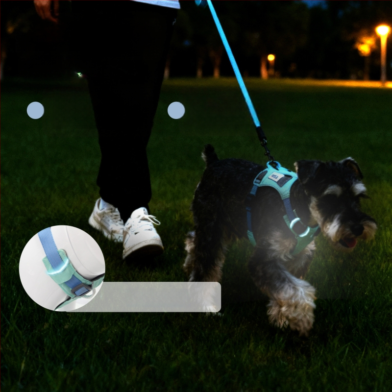 Nylon kutya póráz, mellény-stílusú, South Belle