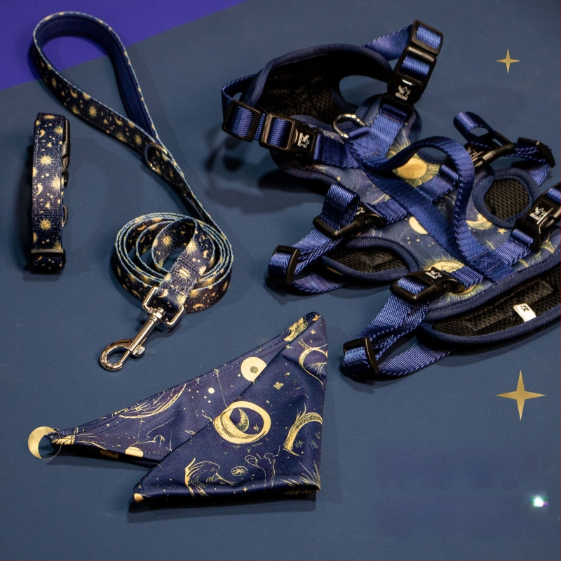 Kopai K Series kisállat-kiegészítő készlet: hám, póráz, nyakörv, nyálkendő, kutyaruha