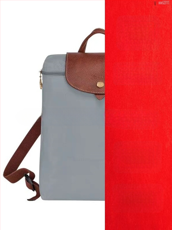 Rucsac damă din nylon impermeabil, stil urban simplu, buzunare interne pentru telefon, buletin și laptop; închidere cu fermoar.