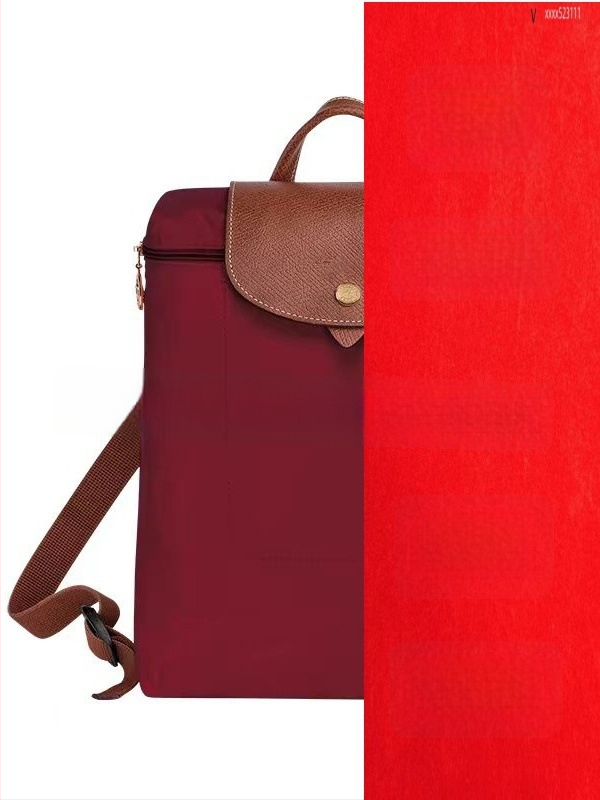 Rucsac damă din nylon impermeabil, stil urban simplu, buzunare interne pentru telefon, buletin și laptop; închidere cu fermoar.