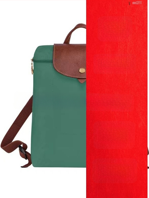 Rucsac damă din nylon impermeabil, stil urban simplu, buzunare interne pentru telefon, buletin și laptop; închidere cu fermoar.