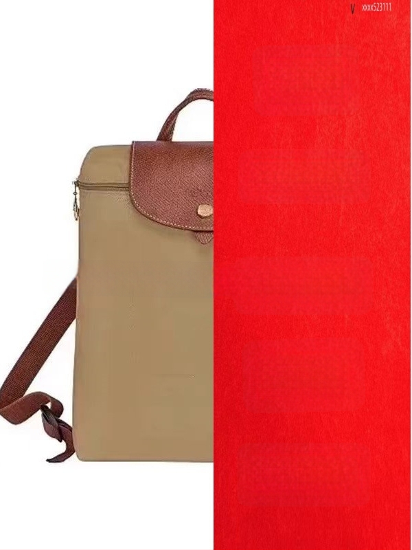 Rucsac damă din nylon impermeabil, stil urban simplu, buzunare interne pentru telefon, buletin și laptop; închidere cu fermoar.