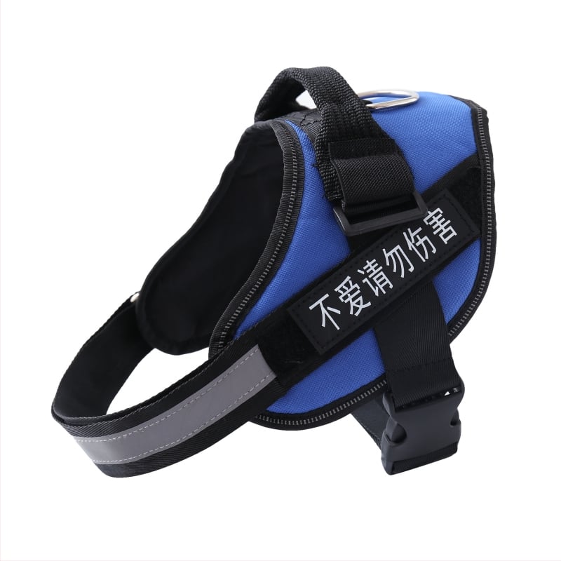 Kutyahám és póráz Oxford anyagból – mellkasi heveder, fényvisszaverő szalag, K9 sétahám stílus