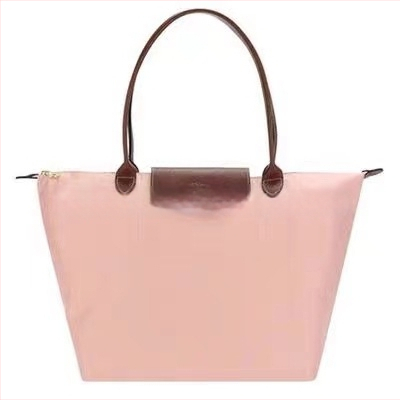 Nailoninė dumpling rankinė su dangteliu — miesto paprastas stilius, vidinės kišenės telefonui ir ID, be peties dirželio