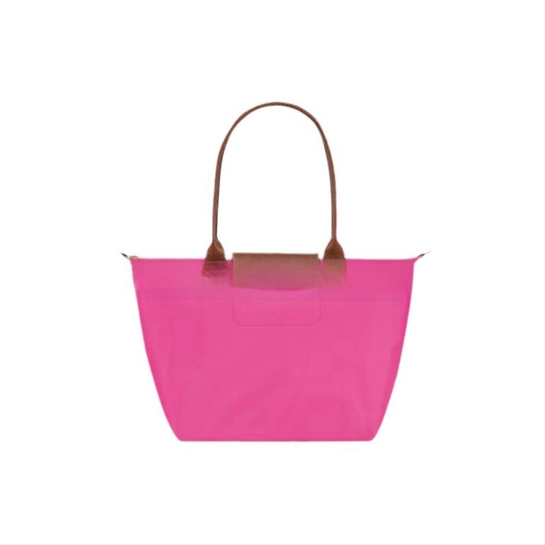 Nailoninė dumpling rankinė su dangteliu — miesto paprastas stilius, vidinės kišenės telefonui ir ID, be peties dirželio