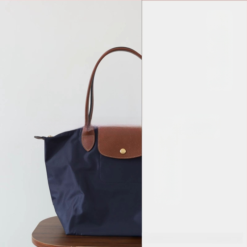 Nailoninė dumpling rankinė su dangteliu — miesto paprastas stilius, vidinės kišenės telefonui ir ID, be peties dirželio