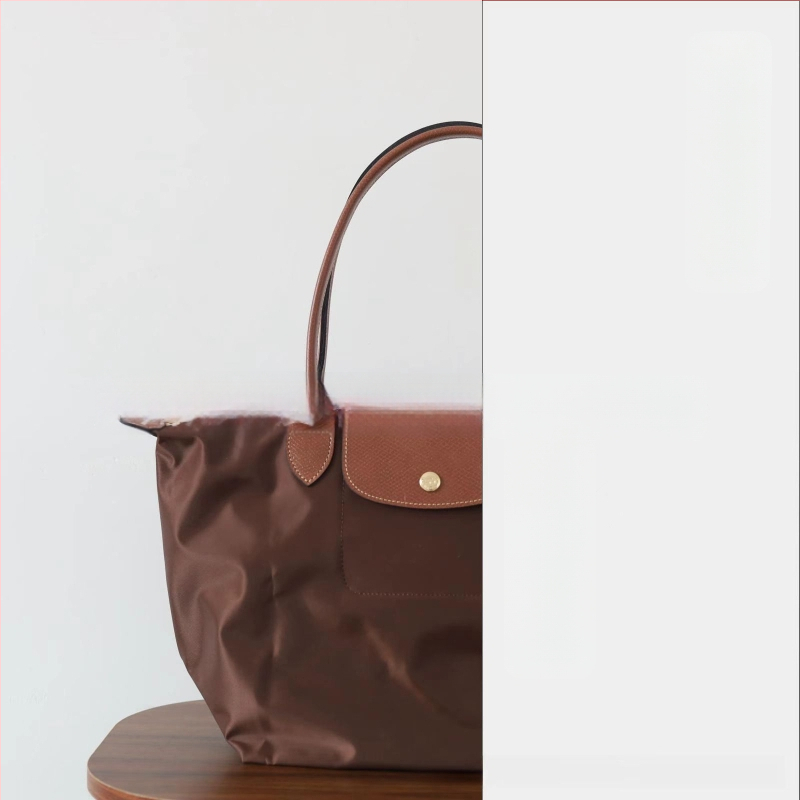 Nailoninė dumpling rankinė su dangteliu — miesto paprastas stilius, vidinės kišenės telefonui ir ID, be peties dirželio