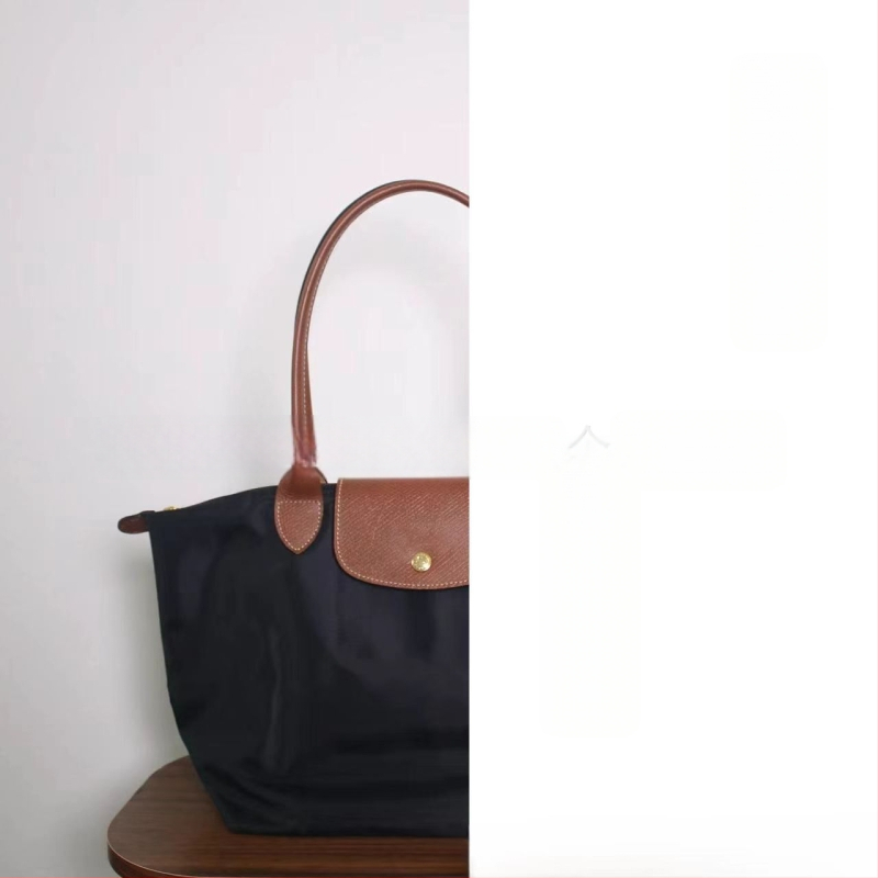 Nailoninė dumpling rankinė su dangteliu — miesto paprastas stilius, vidinės kišenės telefonui ir ID, be peties dirželio