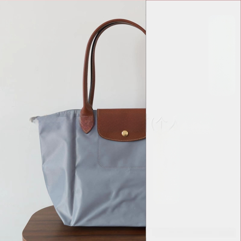 Nailoninė dumpling rankinė su dangteliu — miesto paprastas stilius, vidinės kišenės telefonui ir ID, be peties dirželio