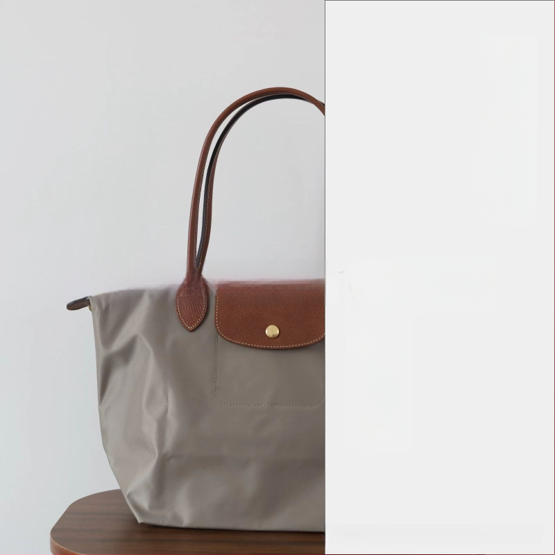 Nailoninė dumpling rankinė su dangteliu — miesto paprastas stilius, vidinės kišenės telefonui ir ID, be peties dirželio