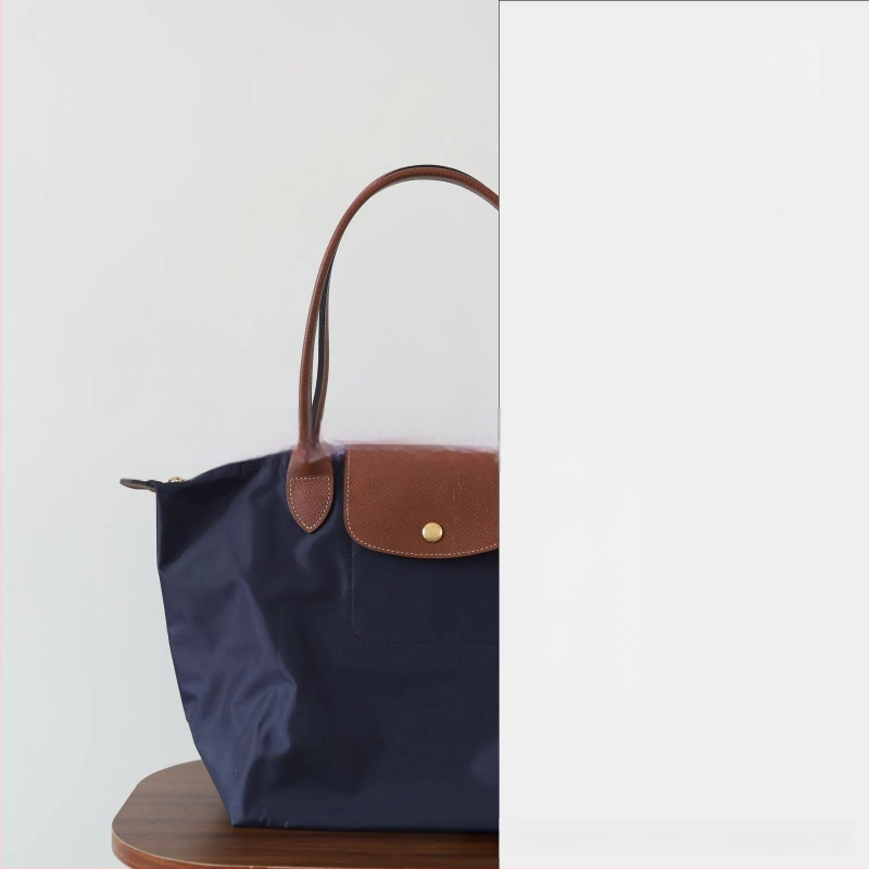 Nailoninė dumpling rankinė su dangteliu — miesto paprastas stilius, vidinės kišenės telefonui ir ID, be peties dirželio