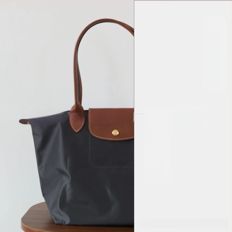 Nailoninė dumpling rankinė su dangteliu — miesto paprastas stilius, vidinės kišenės telefonui ir ID, be peties dirželio