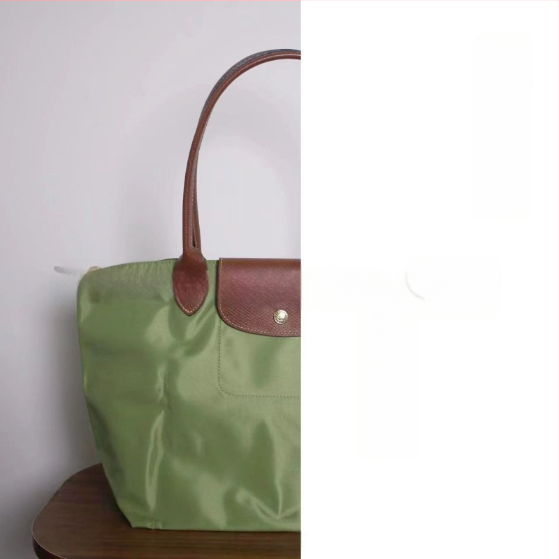 Nailoninė dumpling rankinė su dangteliu — miesto paprastas stilius, vidinės kišenės telefonui ir ID, be peties dirželio