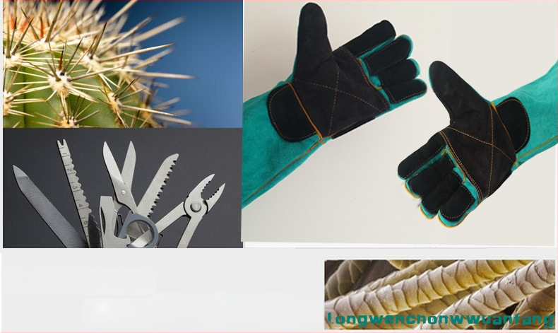 Aukštos kokybės galvijų odos gyvūnų apsaugos pirštinės — prieš įkandimus, įbrėžimus, peilio ir pjovimo atsparios; skirtos namų treniruotėms, veterinarijos klinikoms, safari parkams, lauke