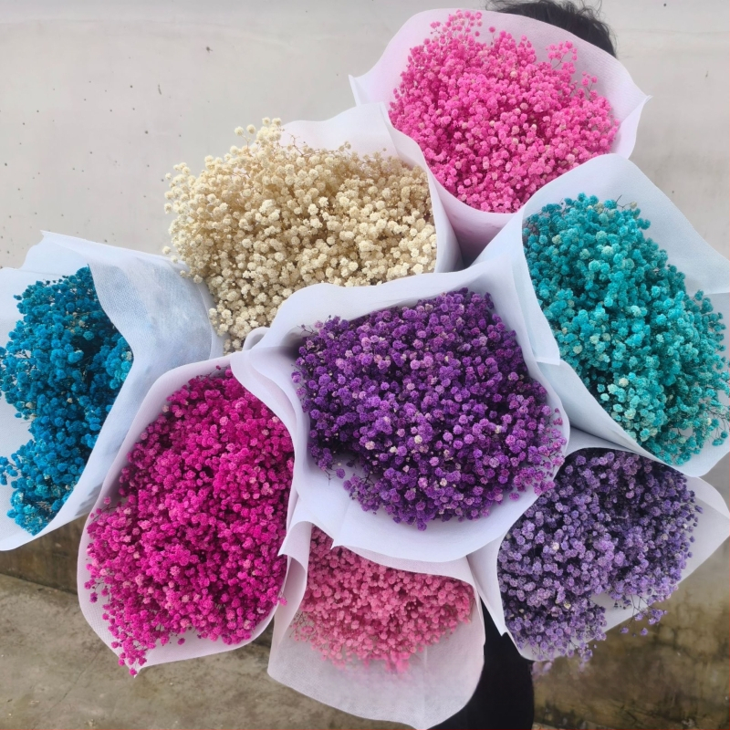 Nothing Brand Gypsophila Veșnică – Flori uscate Cer Înstelat