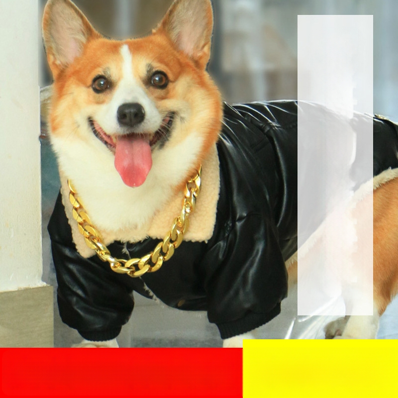 Naminio gyvūno antkaklis – Vienodo rašto; Medžiaga: Plastikas; Universalus naudojimas; Neimportuotas; IP patvirtinimas: Ne