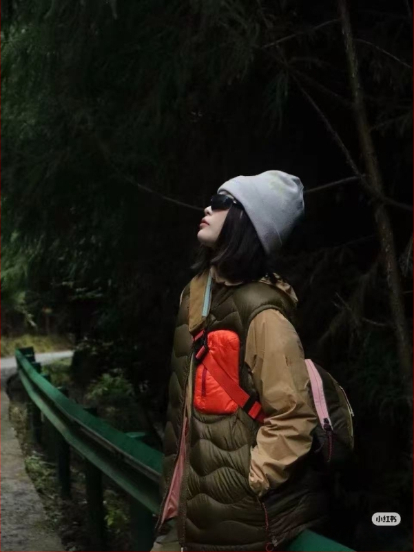 Γυναικείο γιλέκο από πούπουλα με στάσιμο γιακά, νάιλον εξωτερικό ύφασμα, γέμισμα από πούπουλα χήνας 86–90%, ευθεία γραμμή, μεσαίου μήκους (50–65 εκ.)