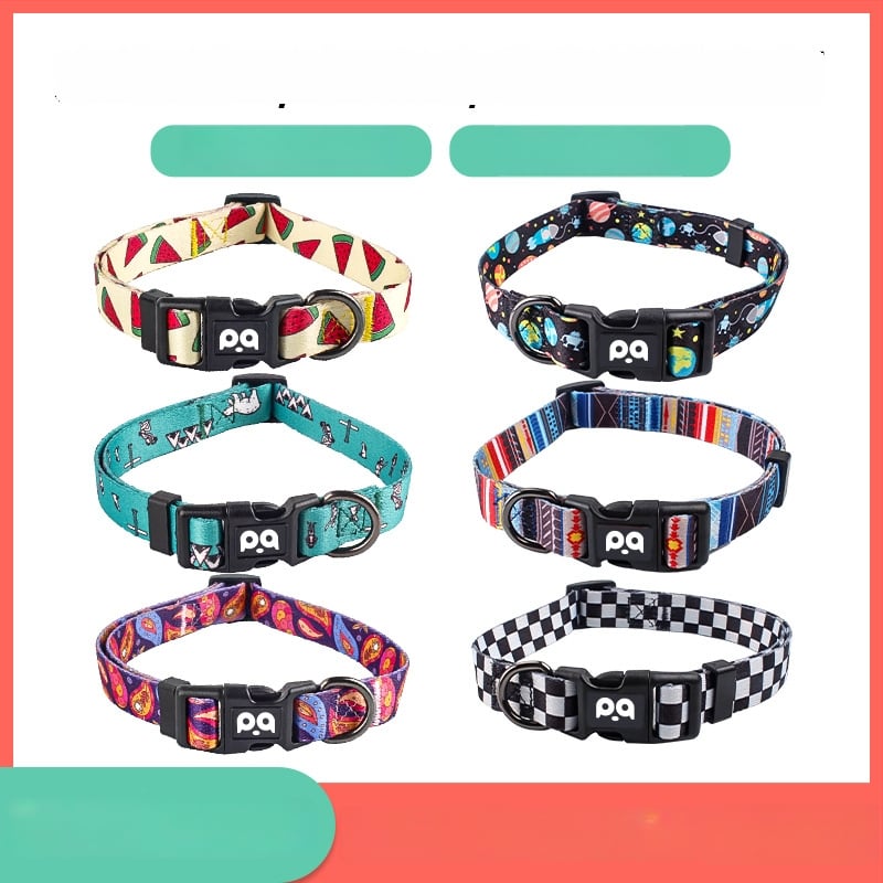 Poliesterinė šuns apykaklė ir harnas su reguliuojamu pavadėliu, patogu ir minkšta, visoms metų laikams