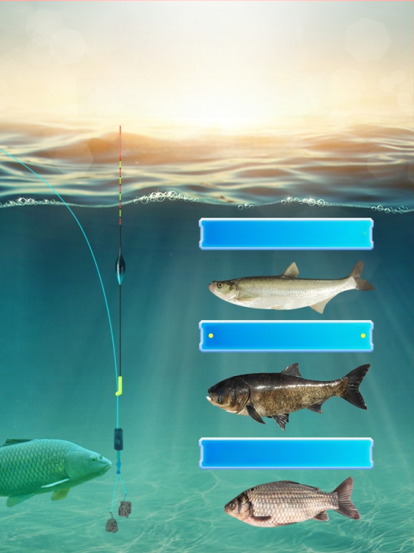 Karpio žvejybos plūdė su elektroniniu naktiniu apšvietimu, aukšta kibimo jautrumas, spalvų keitimas, dienos ir nakties naudojimui — nano plūdės medžiaga, Mingzheng fishing tackle