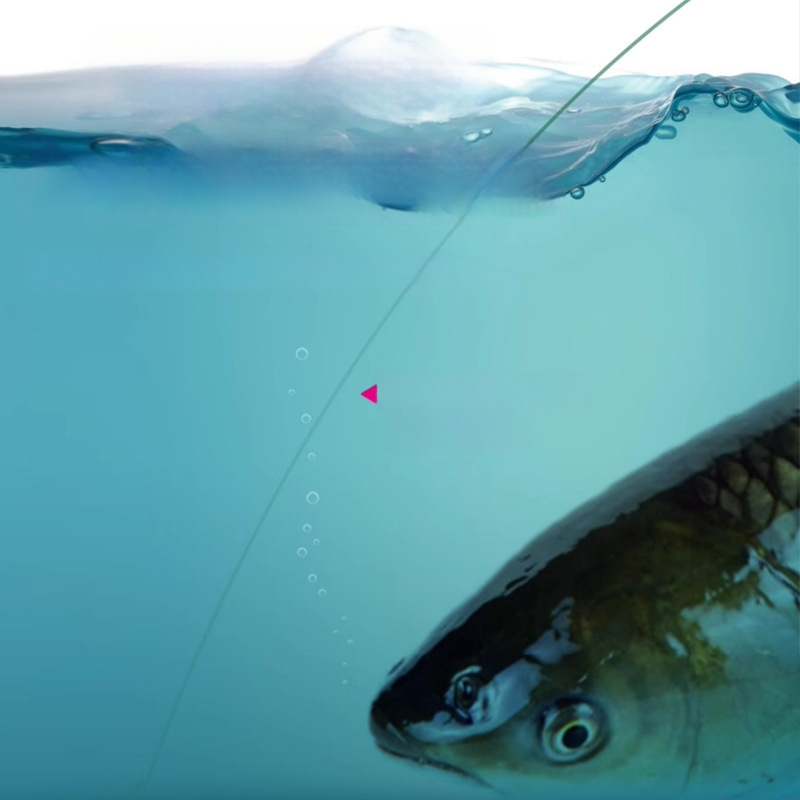 Patobulintas nailoninės žvejybos linijos rinkinys, ilgis 2.7 m, žvejybai