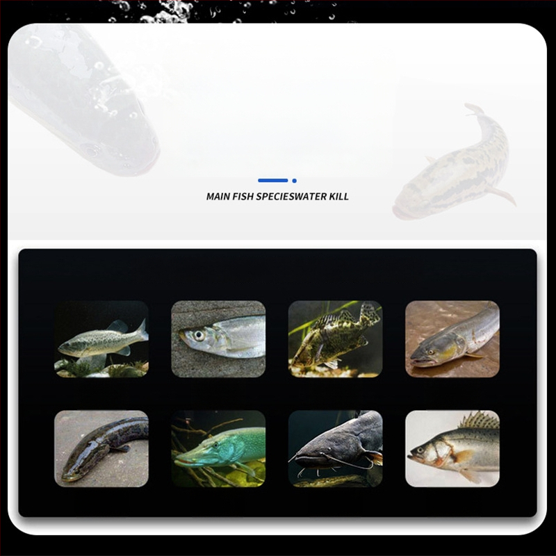 Dėžėje pakuotas pagrindinės linijos rinkinys, nailonas, silikoniniai priedai, Black Pit