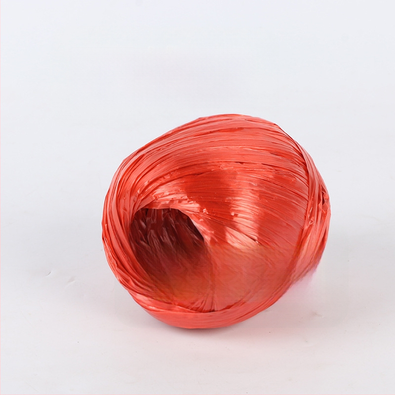 Užsegimo virvė (PP medžiaga, prekės ženklas Descendants, plotis 3–4 mm, storis 0,02 mm)