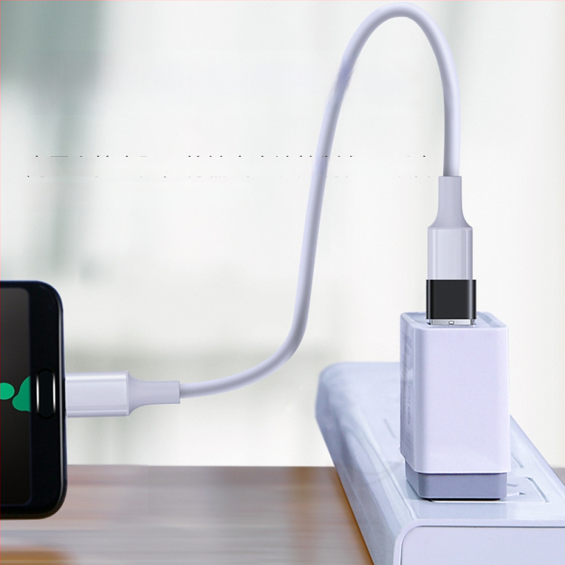 Yikanglong USB-A vyras į USB-C moteriškas OTG adapteris su PD greitu įkrovimu ir duomenų perdavimu