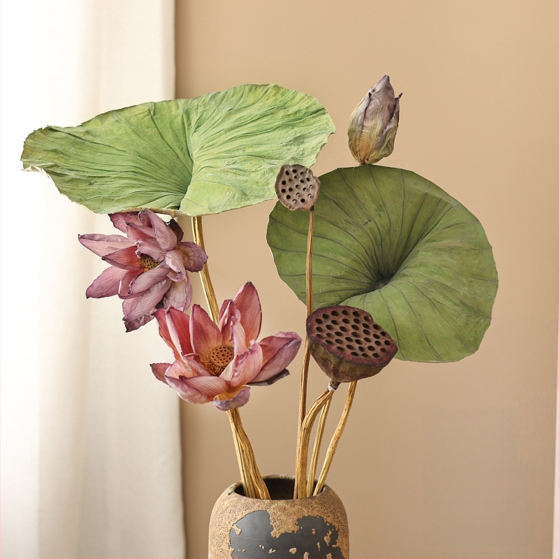 Букет сушени лотосови цветя за холна декорация, дзен стил, боядисани сушени цветя, код на продукта 12345678, категория Друго