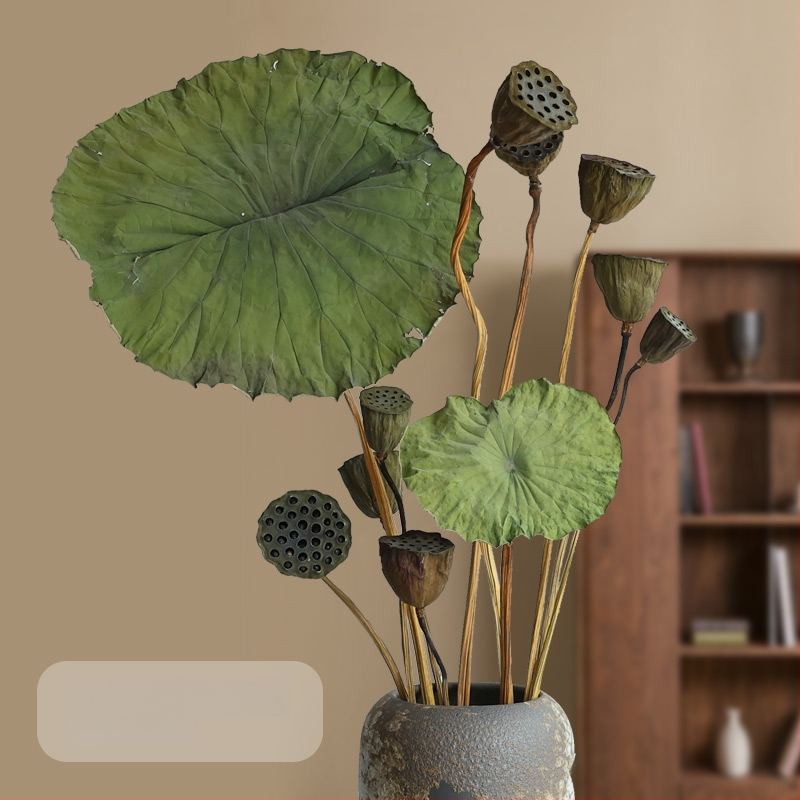 Букет сушени лотосови цветя за холна декорация, дзен стил, боядисани сушени цветя, код на продукта 12345678, категория Друго