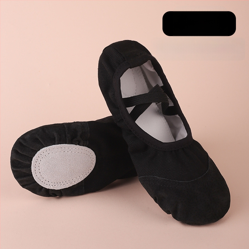 Χορευτικά Παπούτσια για Μπαλέτο και Λαϊκό Χορό, Αναπνεύσιμα και Ελαφριά, με Σόλα από Γνήσιο Δέρμα