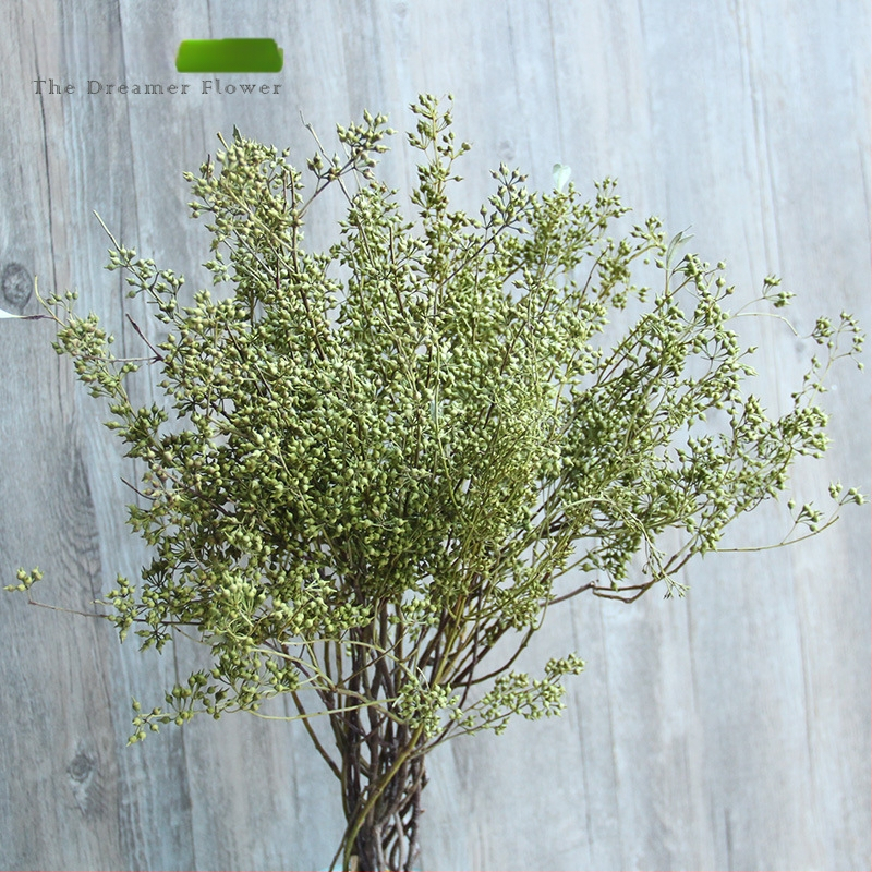 Vaisių džiovinti žiedai namų dekoracijoms — Prekės ženklas The Dreamer Flower; Medžiaga: Džiovinti žiedai; Procesas: 22408001136; Tipas: Vaisiai; Įvairovė: Kita