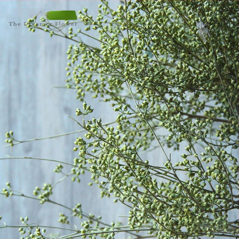 Vaisių džiovinti žiedai namų dekoracijoms — Prekės ženklas The Dreamer Flower; Medžiaga: Džiovinti žiedai; Procesas: 22408001136; Tipas: Vaisiai; Įvairovė: Kita