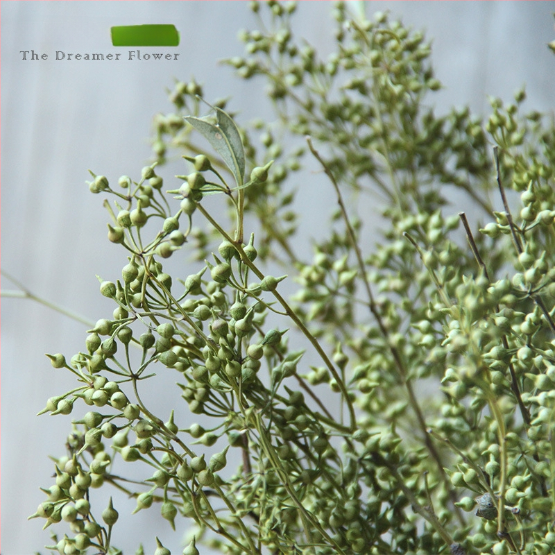 Vaisių džiovinti žiedai namų dekoracijoms — Prekės ženklas The Dreamer Flower; Medžiaga: Džiovinti žiedai; Procesas: 22408001136; Tipas: Vaisiai; Įvairovė: Kita