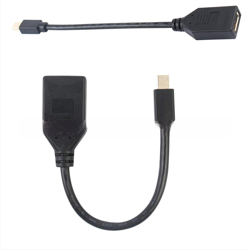 Mini DisplayPort na DisplayPort adapter kabel