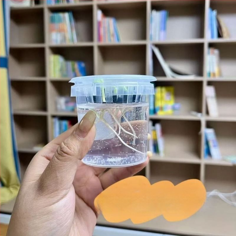 Hidroponski set za sjemenke graha u glaziranoj porcelanskoj posudi za kućno vrtlarenje, podno postolje, otporan na koroziju