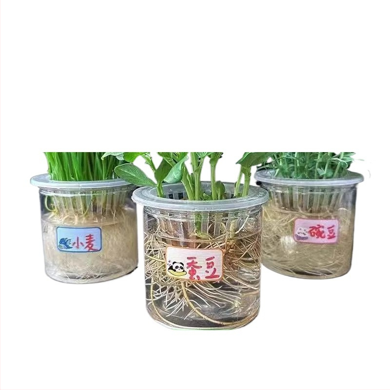 Hidroponski set za sjemenke graha u glaziranoj porcelanskoj posudi za kućno vrtlarenje, podno postolje, otporan na koroziju