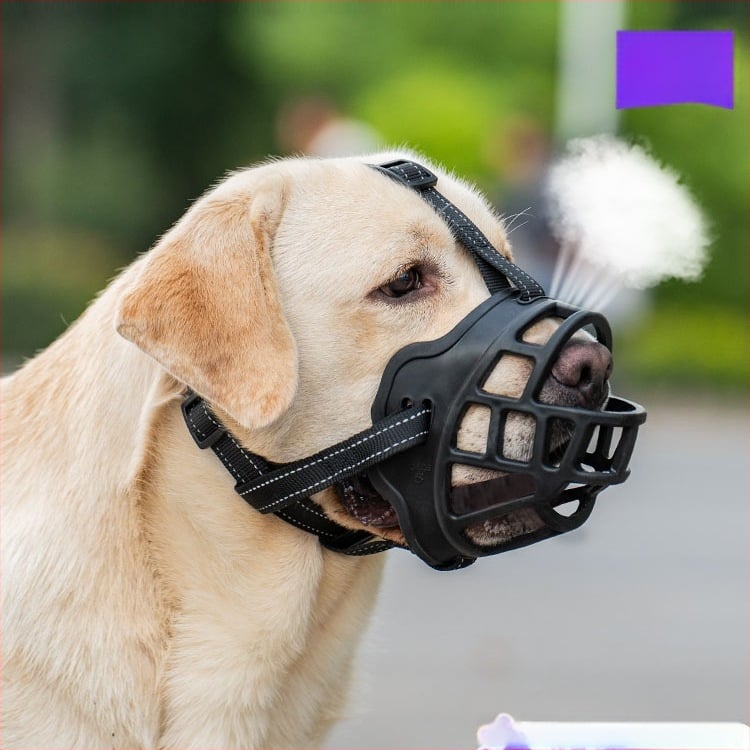 Kutyaszájkosár – anyag: selyem virágmintás; termékkód: F97st95jmj9jh5; kategória: Egyéb; importált: Nem