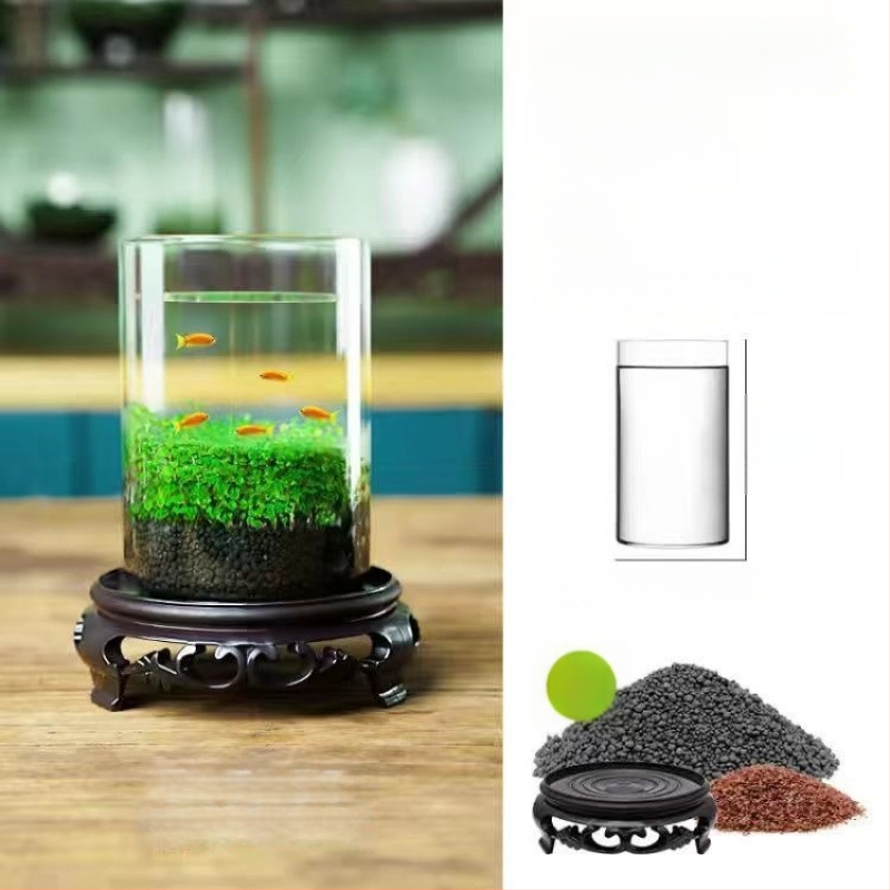 Хидропонна екологична бутилка за настолен декор — стъклена бутилка с водни растения и семена за ландшафт