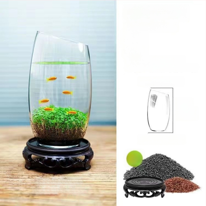 Хидропонна екологична бутилка за настолен декор — стъклена бутилка с водни растения и семена за ландшафт