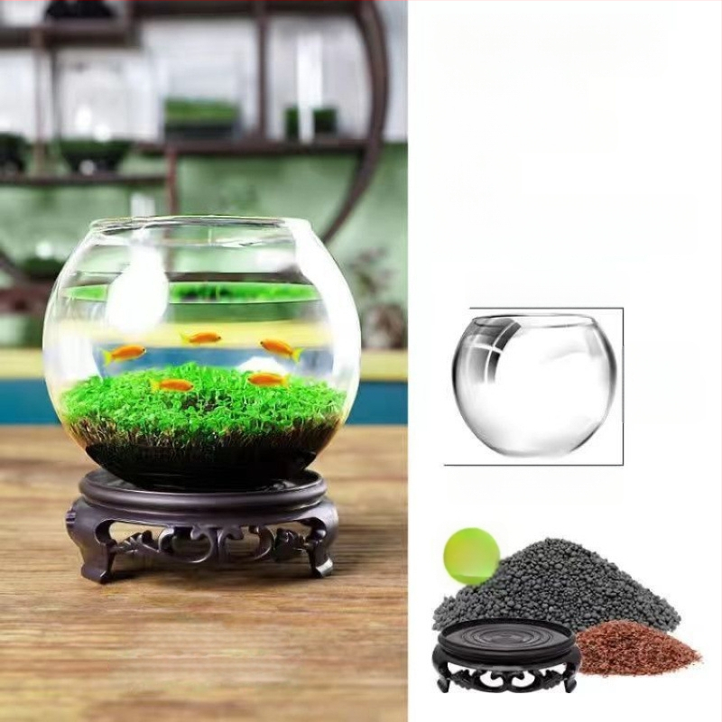 Хидропонна екологична стъклена бутилка за настолен декор – микро пейзаж с водни растения и семена