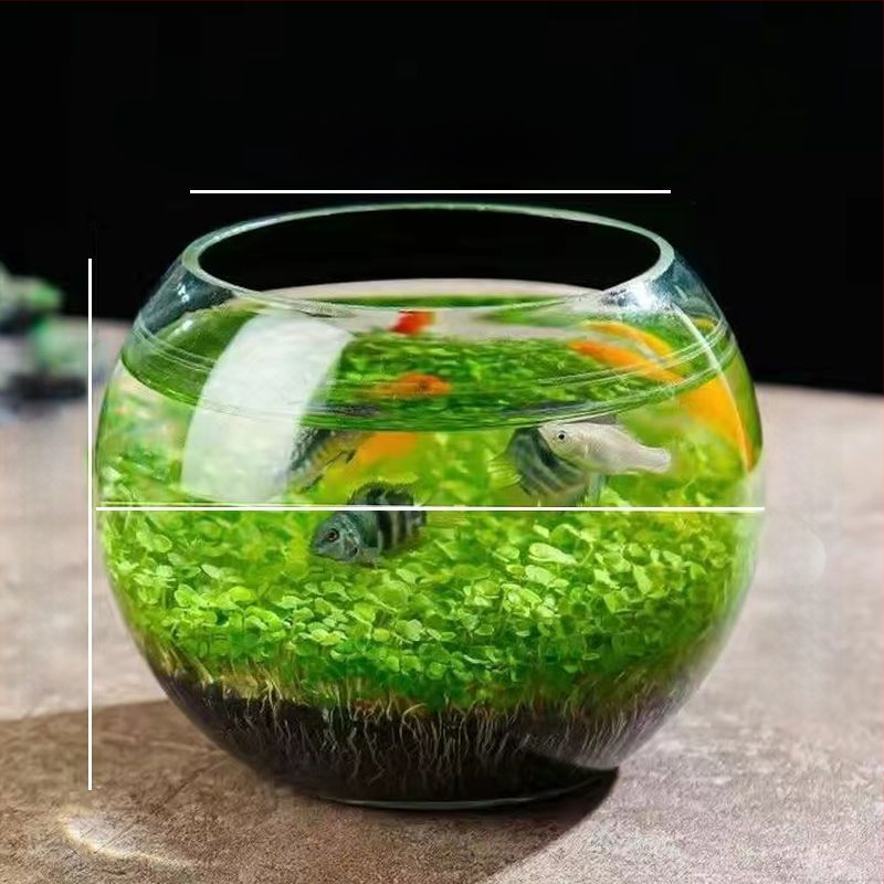 Hidroponska staklena boca za stolnu ukrasu — mikro krajolik akvarij s vodnim biljkama, četiri godišnja doba i sjemenkama biljaka (magnetski materijali)