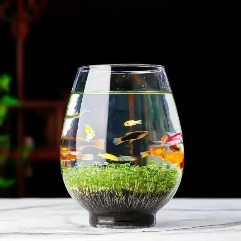 Hidroponska staklena boca za stolnu ukrasu — mikro krajolik akvarij s vodnim biljkama, četiri godišnja doba i sjemenkama biljaka (magnetski materijali)