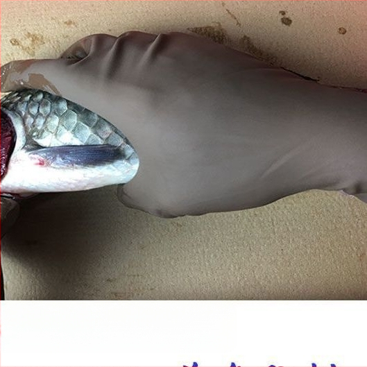 Гумени рибарски ръкавици, удължени и дебели, пробивоустойчиви, зимни водоустойчиви и противохлъзгащи за водни дейности