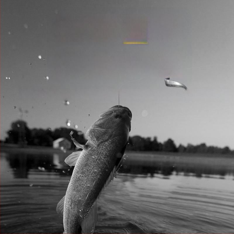 Главна риболовна линия Pure Silk, PE материал, висока здравина