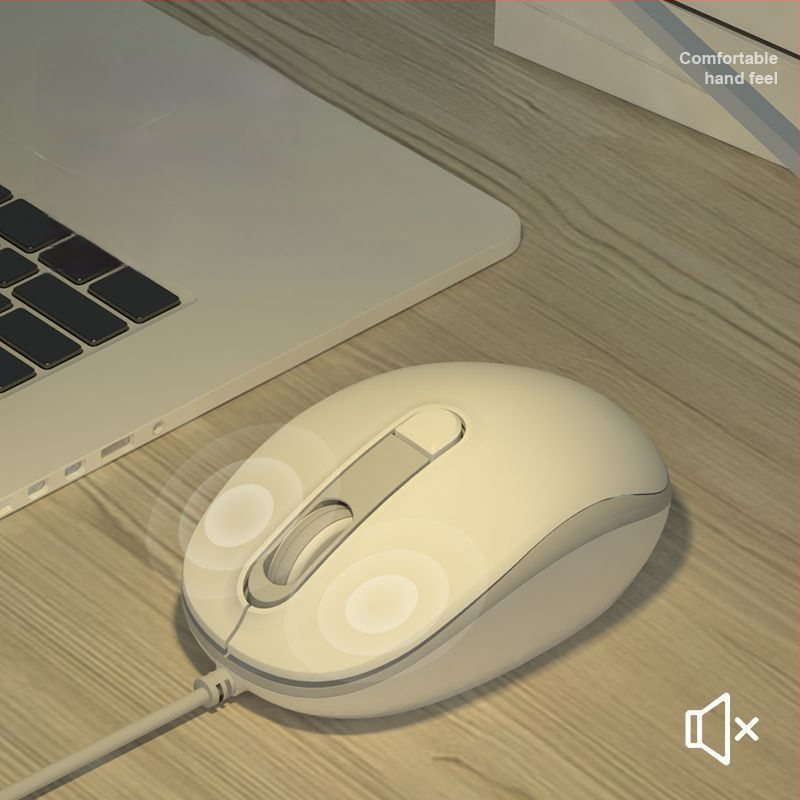 Tyli laidinė optinė pelė USB, 2 mygtukai