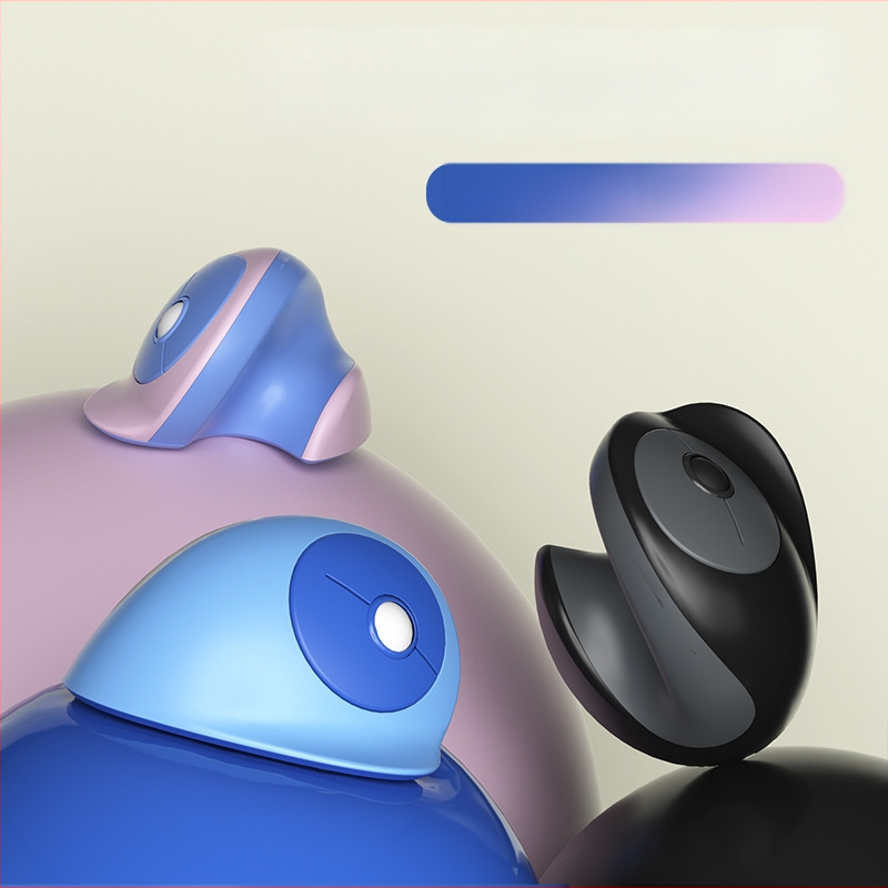 Ergonomiška vertikali pelė, belaidė Bluetooth, Type-C įkrovimas, 4 mygtukai, modelis 891