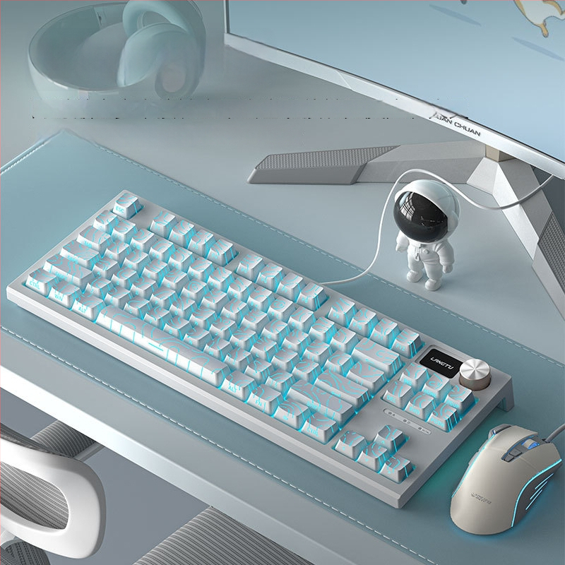 LT84 laidinis mechaninis klaviatūros ir pelės rinkinys — USB, skaitmeninė klaviatūra