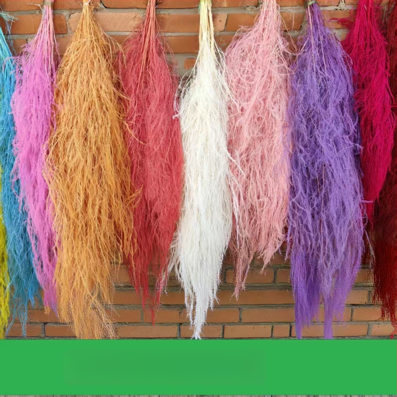 Μοντέρνο μινιμαλιστικό κρεμαστό ανθοτεμάχιο με διατηρημένα και αποξηραμένα λουλούδια, dragon whiskers και μακριά χόρτα, γαμήλια διακόσμηση, προσαρμοσμένη επεξεργασία • Μάρκα: Yunnan runhong • Κωδικός προϊόντος: 2024 • Προέλευση: Κίνα • Εισαγωγή: Όχι